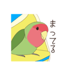 コザクラインコ(まっちゃ)（個別スタンプ：31）