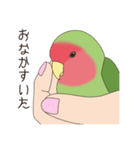 コザクラインコ(まっちゃ)（個別スタンプ：37）