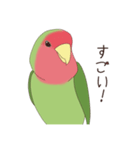 コザクラインコ(まっちゃ)（個別スタンプ：39）