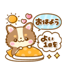 かわいいチワワ♡カラフルふきだし（個別スタンプ：1）