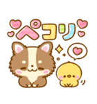 かわいいチワワ♡カラフルふきだし（個別スタンプ：4）