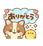 かわいいチワワ♡カラフルふきだし（個別スタンプ：7）