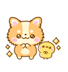 かわいいチワワ♡カラフルふきだし（個別スタンプ：11）