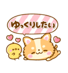 かわいいチワワ♡カラフルふきだし（個別スタンプ：14）