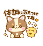 かわいいチワワ♡カラフルふきだし（個別スタンプ：15）