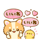 かわいいチワワ♡カラフルふきだし（個別スタンプ：16）