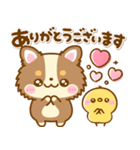 かわいいチワワ♡カラフルふきだし（個別スタンプ：17）