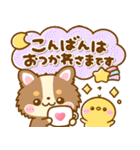 かわいいチワワ♡カラフルふきだし（個別スタンプ：18）