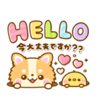 かわいいチワワ♡カラフルふきだし（個別スタンプ：19）