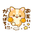 かわいいチワワ♡カラフルふきだし（個別スタンプ：20）