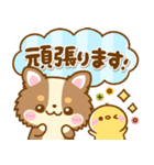 かわいいチワワ♡カラフルふきだし（個別スタンプ：21）