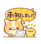かわいいチワワ♡カラフルふきだし（個別スタンプ：29）