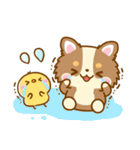 かわいいチワワ♡カラフルふきだし（個別スタンプ：30）