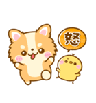 かわいいチワワ♡カラフルふきだし（個別スタンプ：31）