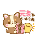 かわいいチワワ♡カラフルふきだし（個別スタンプ：33）