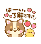 かわいいチワワ♡カラフルふきだし（個別スタンプ：34）