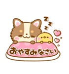 かわいいチワワ♡カラフルふきだし（個別スタンプ：36）