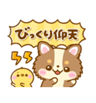 かわいいチワワ♡カラフルふきだし（個別スタンプ：37）