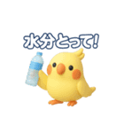 夏のオカメインコ（個別スタンプ：3）