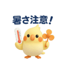 夏のオカメインコ（個別スタンプ：12）