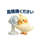 夏のオカメインコ（個別スタンプ：13）