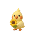 夏のオカメインコ（個別スタンプ：21）