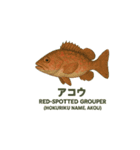 動く魚さん達（個別スタンプ：2）