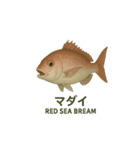 動く魚さん達（個別スタンプ：3）
