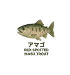 動く魚さん達（個別スタンプ：11）