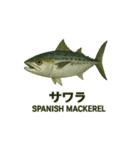 動く魚さん達（個別スタンプ：13）