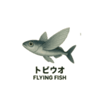 動く魚達（個別スタンプ：2）