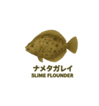 動く魚達（個別スタンプ：11）