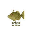 動く魚達（個別スタンプ：12）