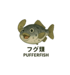 動く魚達（個別スタンプ：13）