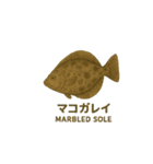 動く魚達（個別スタンプ：14）