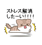 毎日五月病なねこたち24（個別スタンプ：20）