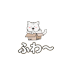 Meow Meow日常 – かわいいLINEスタンプ（個別スタンプ：35）