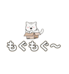 Meow Meow日常 – かわいいLINEスタンプ（個別スタンプ：36）