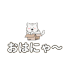 Meow Meow日常 – かわいいLINEスタンプ（個別スタンプ：37）