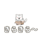 Meow Meow日常 – かわいいLINEスタンプ（個別スタンプ：39）