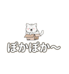 Meow Meow日常 – かわいいLINEスタンプ（個別スタンプ：40）