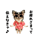 エッホエッホチワワ（個別スタンプ：2）