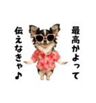 エッホエッホチワワ（個別スタンプ：7）