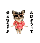 エッホエッホチワワ（個別スタンプ：9）