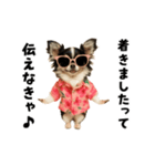 エッホエッホチワワ（個別スタンプ：18）