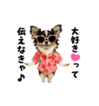 エッホエッホチワワ（個別スタンプ：21）