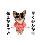 エッホエッホチワワ（個別スタンプ：22）