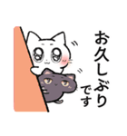 【敬語】マイペースねこのウルウル（個別スタンプ：13）