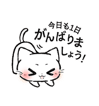 【敬語】マイペースねこのウルウル（個別スタンプ：14）