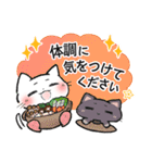 【敬語】マイペースねこのウルウル（個別スタンプ：31）
